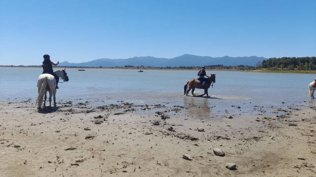  Prenota la tua cavalcata sul lago di Villeneuve-de-la-Raho 