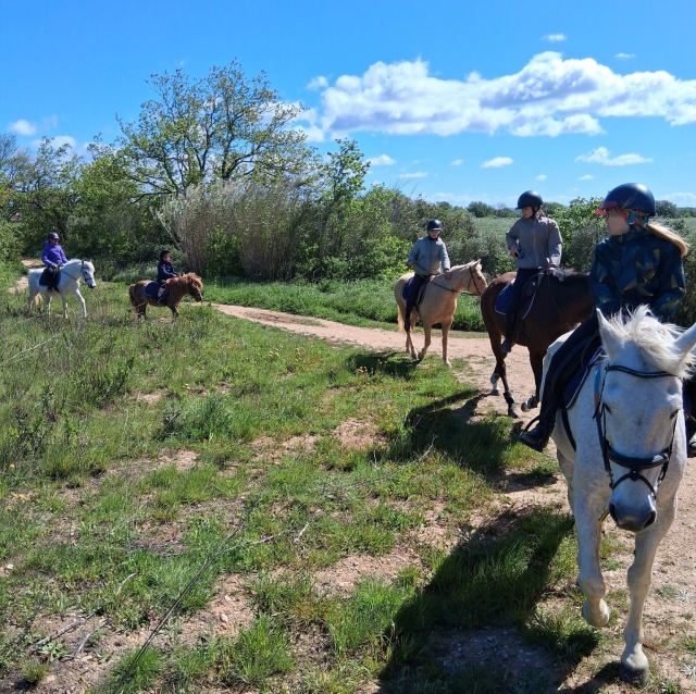  Passeggiate a cavallo per principianti nei Pirenei Orientali 