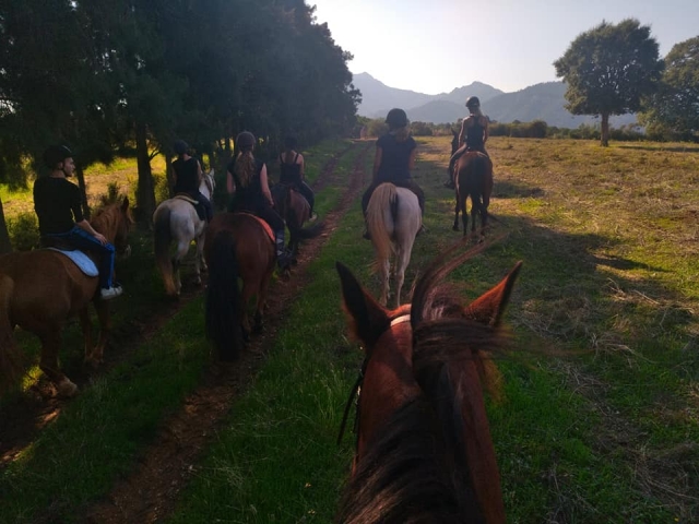  Bellissime passeggiate a cavallo in montagna 