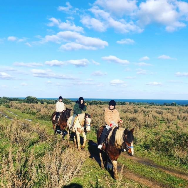  Vieni a goderti un momento unico a cavallo in Corsica 