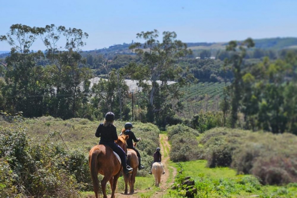  Bellissime passeggiate tra il Mar Mediterraneo e le montagne
