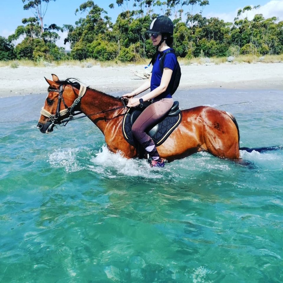  Cavalli abituati all'acqua e perfettamente abituati alle passeggiate 