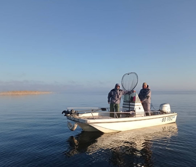  准备在桑吉内湖郊游 