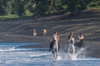 Les écuries d'Eldorado