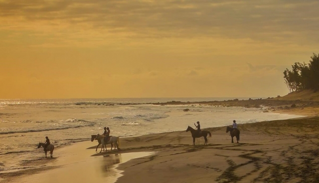 A magnificent view of the ocean waves 