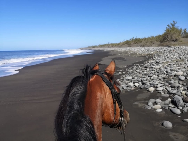  Horseback riding in the beaches of Reunion 