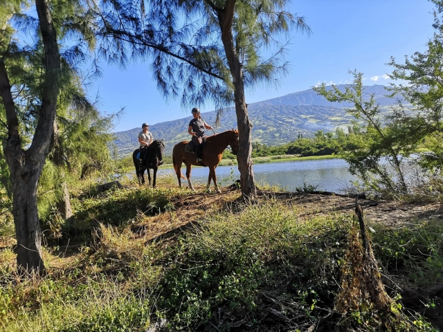 Horseback riding in the south of the intense island 