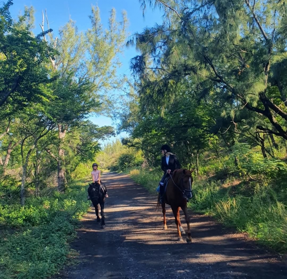  Explore the wild and tropical nature 