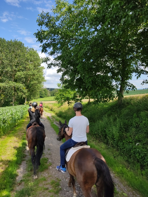 An escape into nature near Strasbourg 