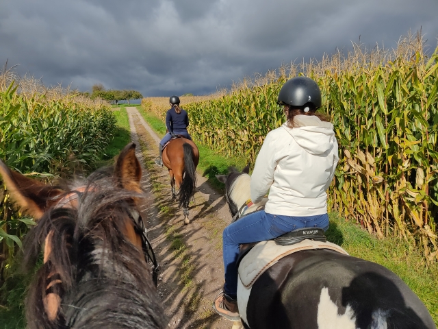  Cross the corn fields on horseback 