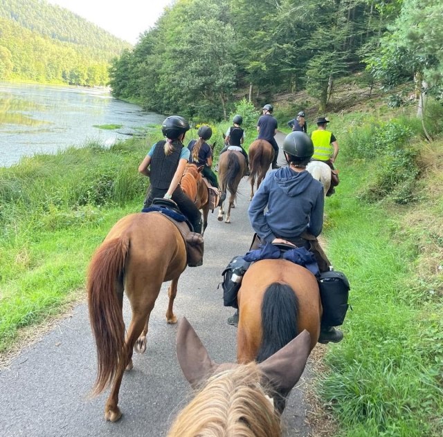  Reserve su excursión a caballo en Soultz-sous-Forêts (67)