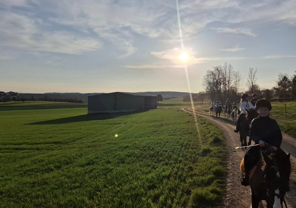 Paseos a caballo en el corazón de Alsacia 
