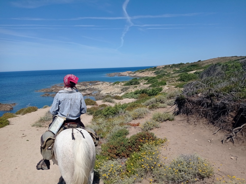  Eine Naturwanderung mitten auf der Insel 