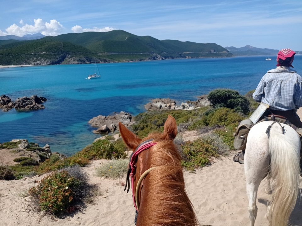 Buchen Sie Ihren Ausritt in Corte 