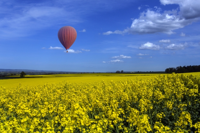 Alpes Provence Montgolfières