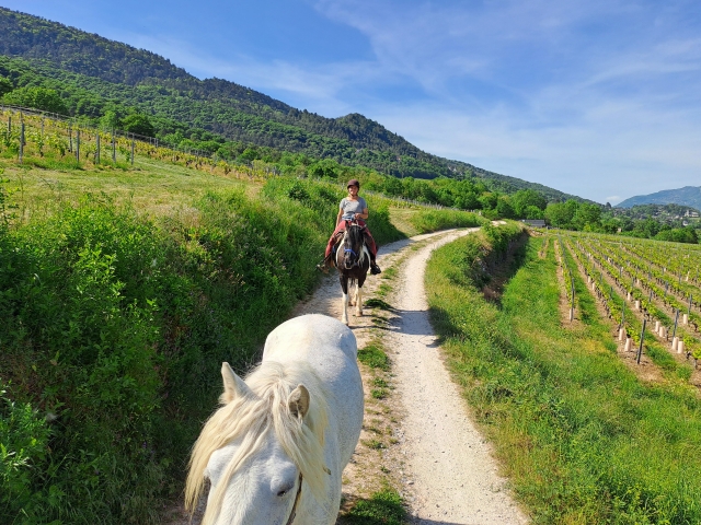  Vive una aventura a caballo 