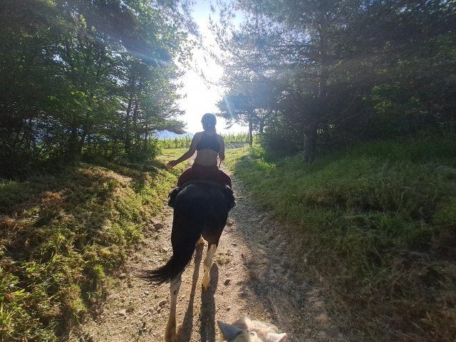 Paseos a caballo por los viñedos de Saboya 