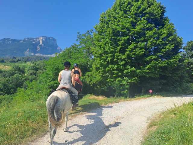  Descubre el macizo Chartreuse a caballo 