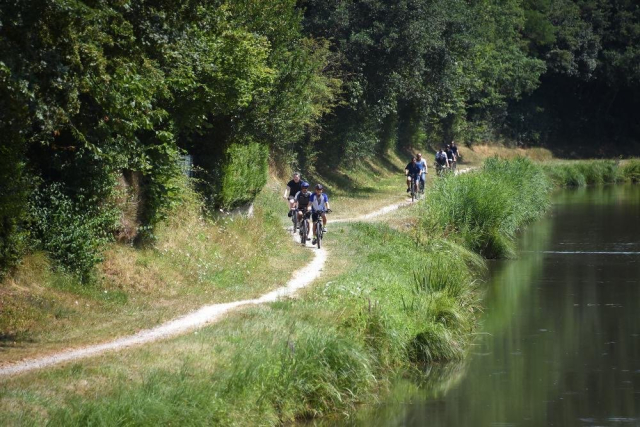  A forest path along the water 