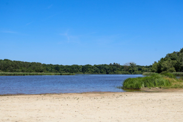  The sandy beach and the pond 