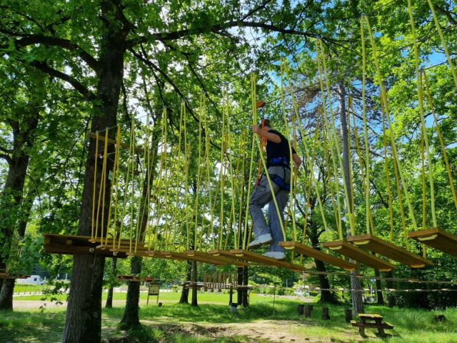 A treetop adventure course in the pines 