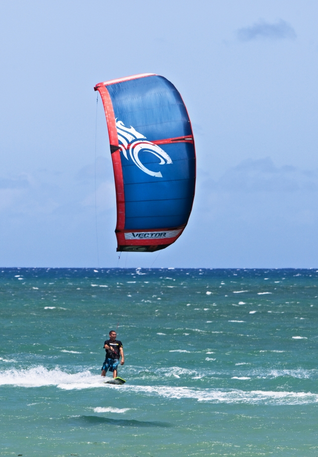 Vive le Kite