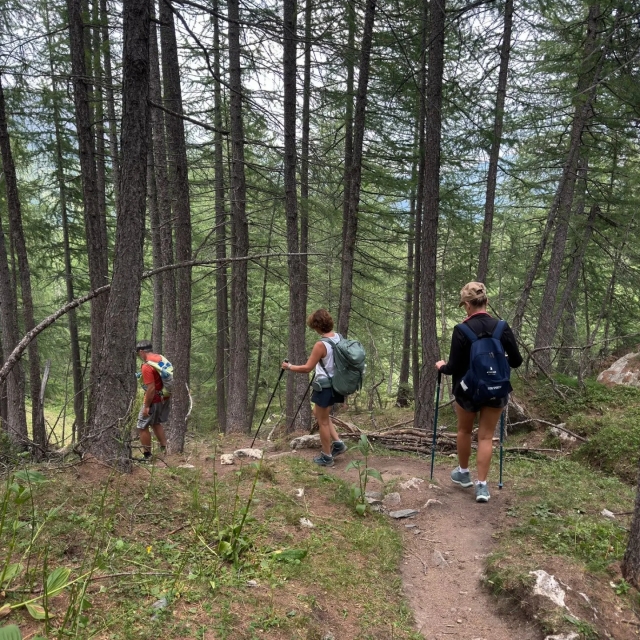 Rando en pleine nature des Alpes-Maritimes