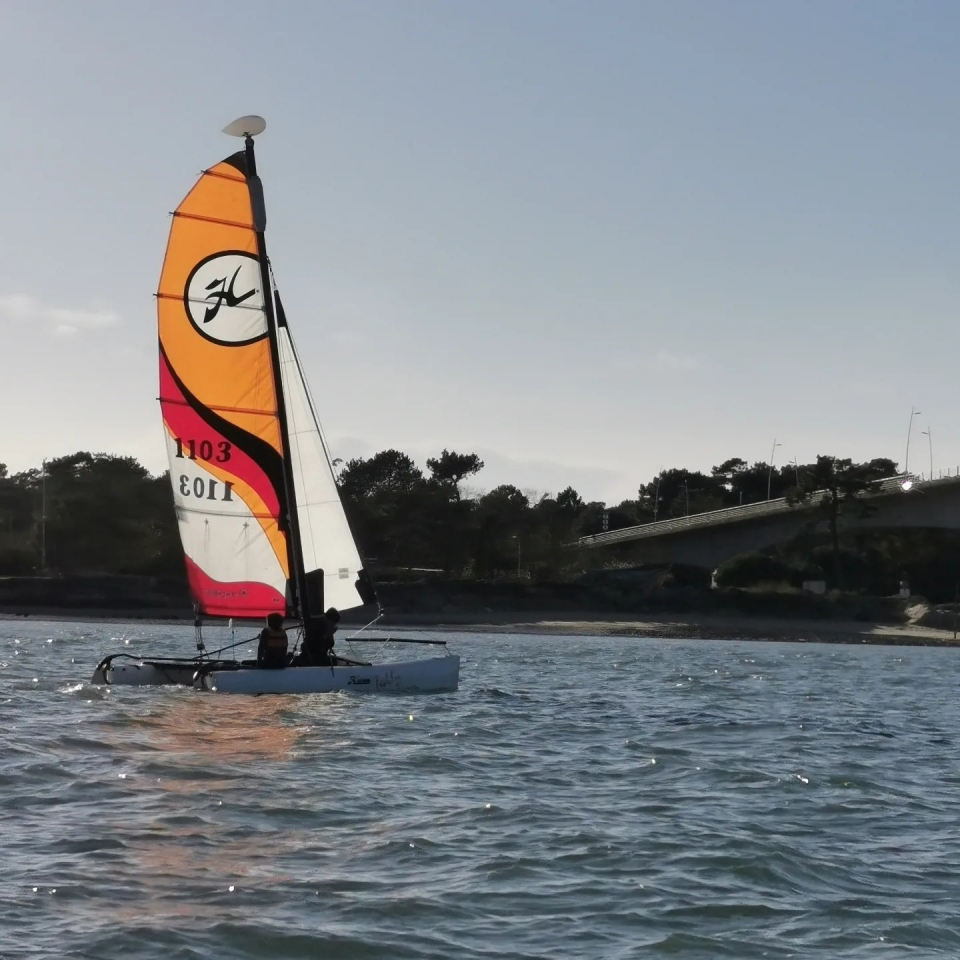 与专业人士一起享受航海课程 