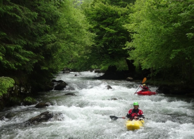 Participez à une excursion en canoë avec un guide professionnel