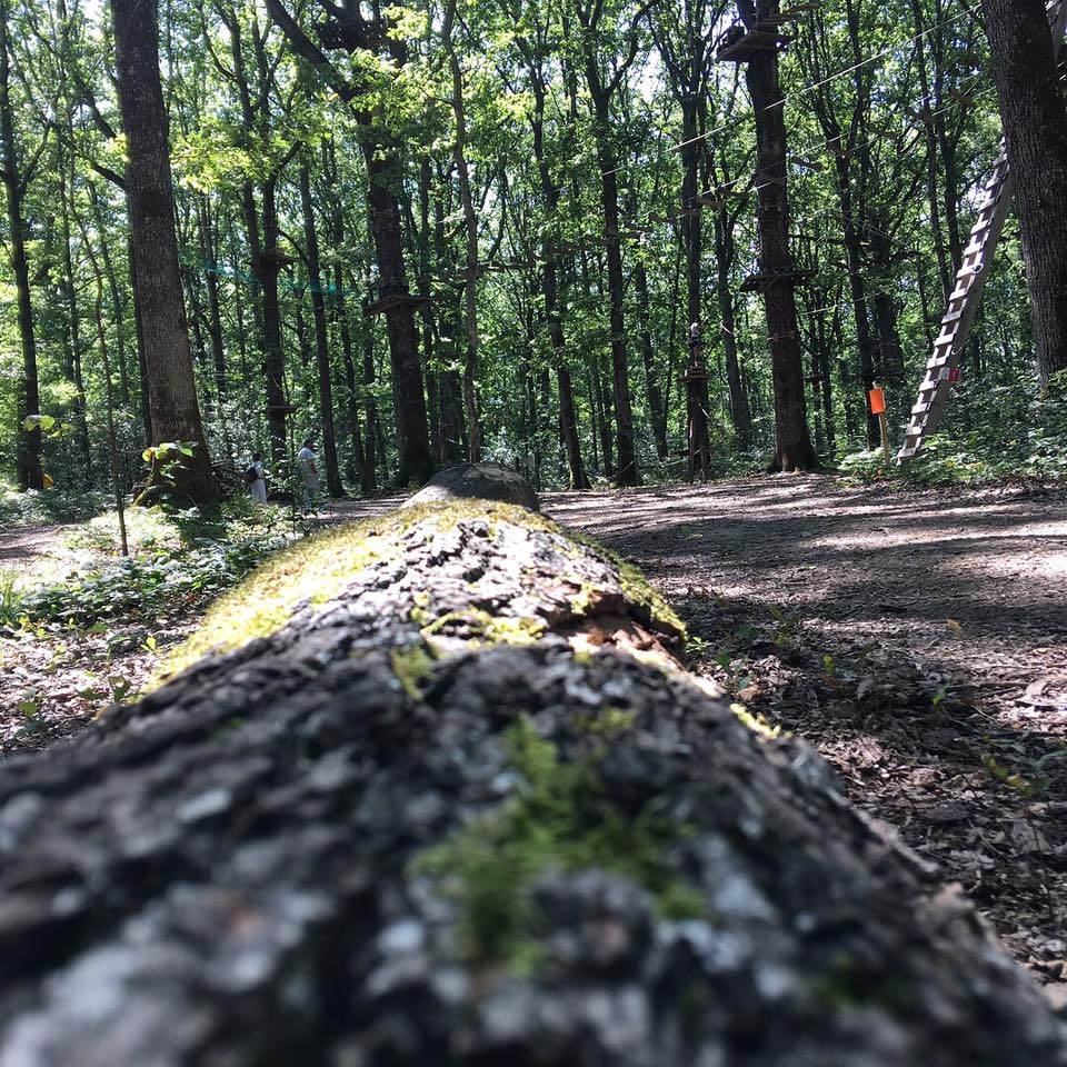  Percorso avventura per bambini 