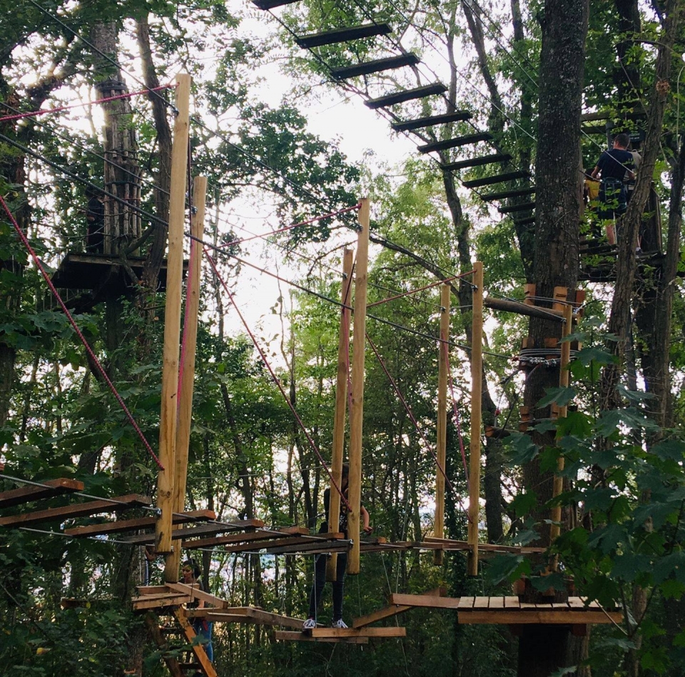  70 laboratori tra gli alberi 