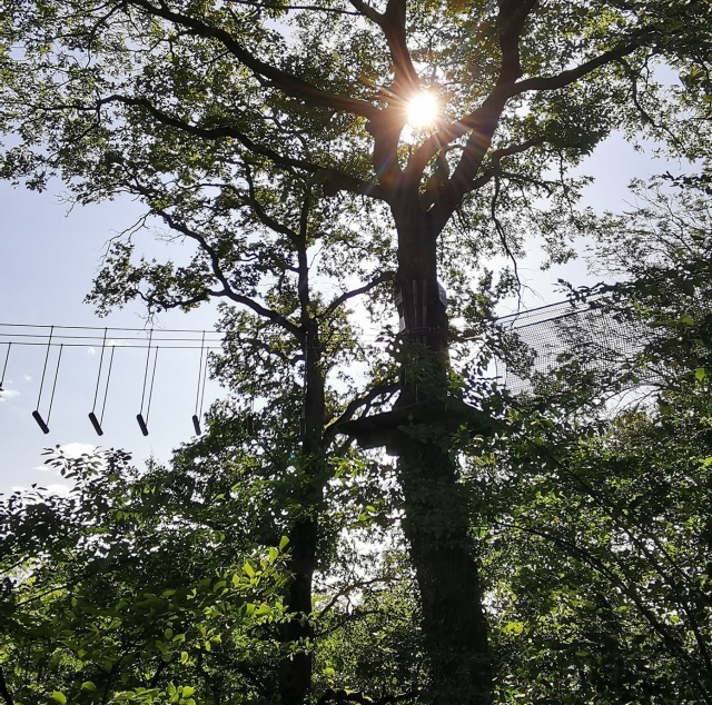  Curso de aventura Saint Père