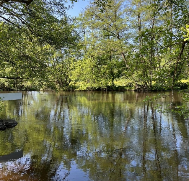  Il bellissimo fiume Cure 