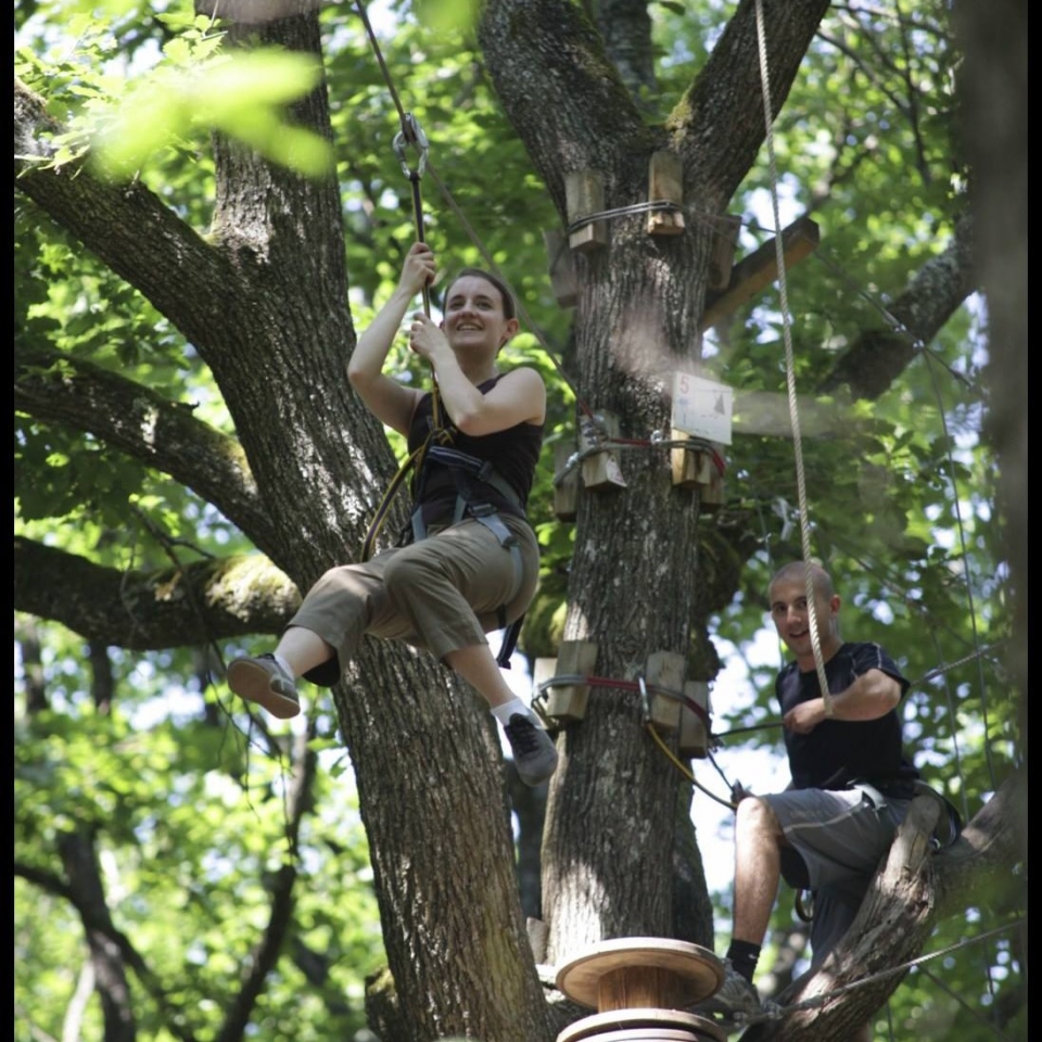  Avante para a aventura nas árvores 