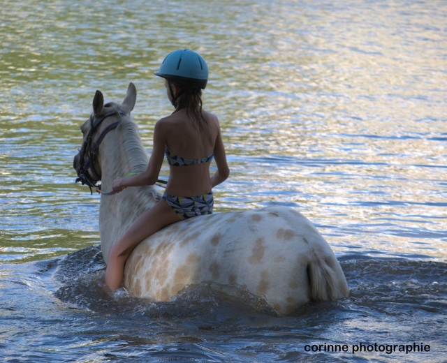 Dans l'eau