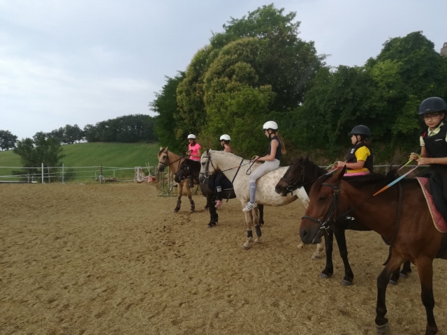 Partida para a caminhada equestre 