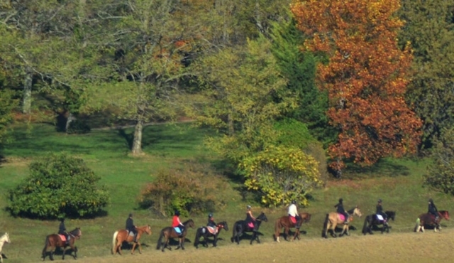 Descoberta das magníficas paisagens de Clairac a cavalo 