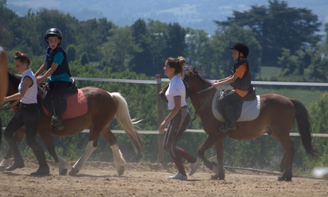 Mise en pratique des techniques d'équitation