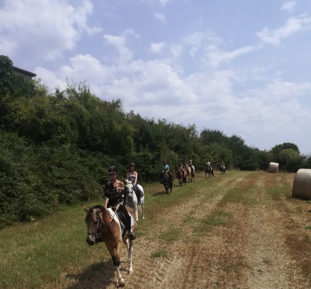 Découverte des chevaux et des paysages de Clairac 