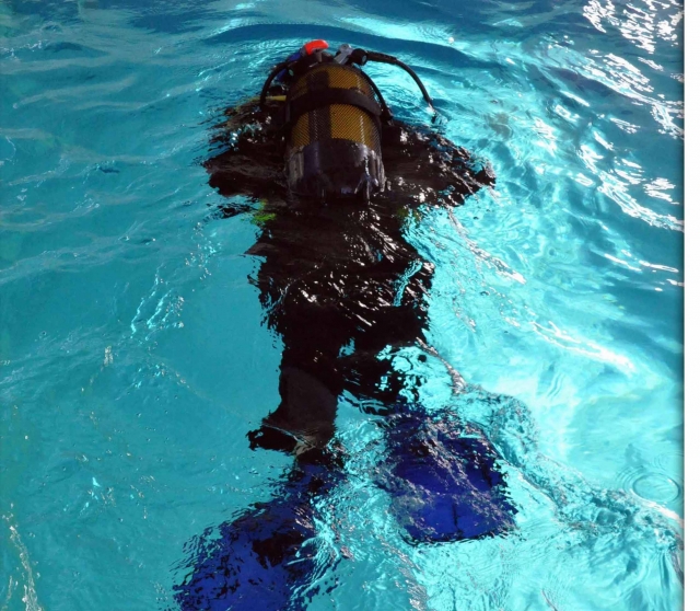  Schwimmbadtaucher 