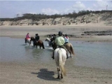 3-hour horseback ride in the Médoc Natural Park