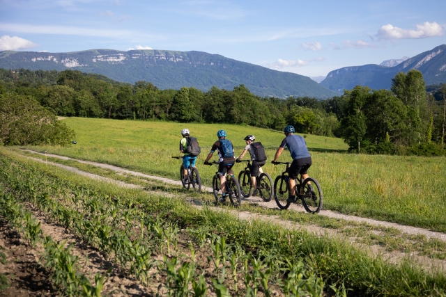从上萨瓦省徒步旅行 