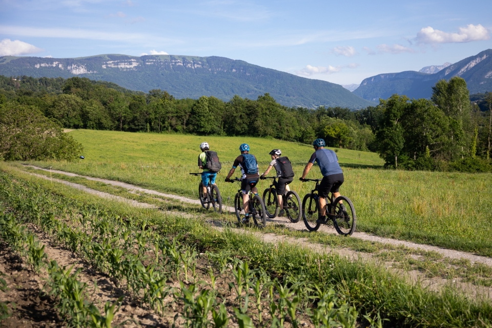 从上萨瓦省徒步旅行 