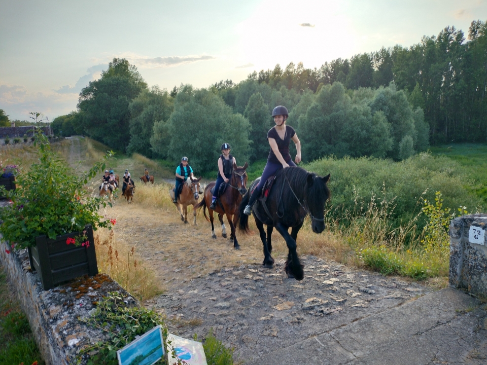 Equitazione in Touraine 