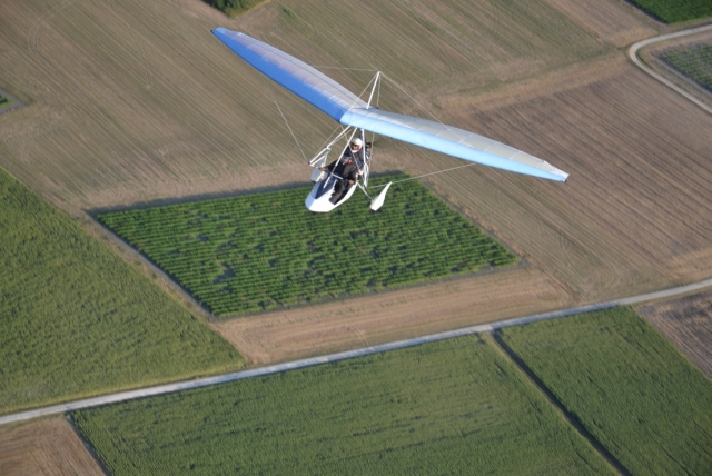 Ulm pendulaire dans la campagne charentaise