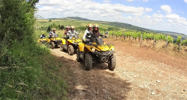  Scoperta della tenuta vinicola in quad 