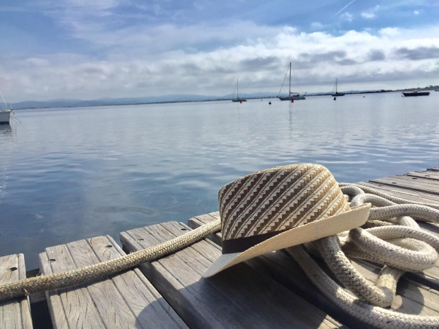 Passez une formidable journée à Giens