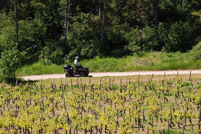  Tour des vignes en quad 