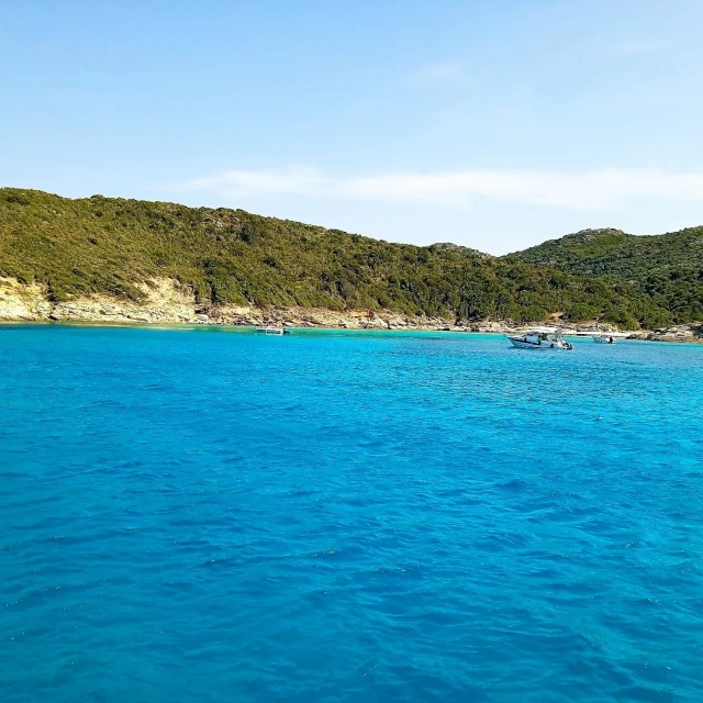  圣胡安湾的帆船 