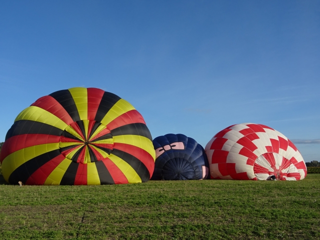 Os Montgolfières disponíveis 